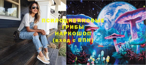 соль ск Алзамай