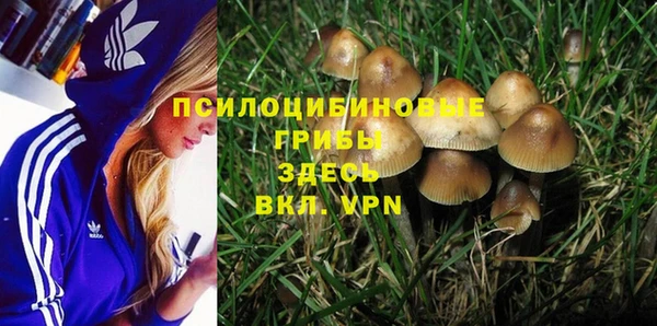 молекула духа Аркадак