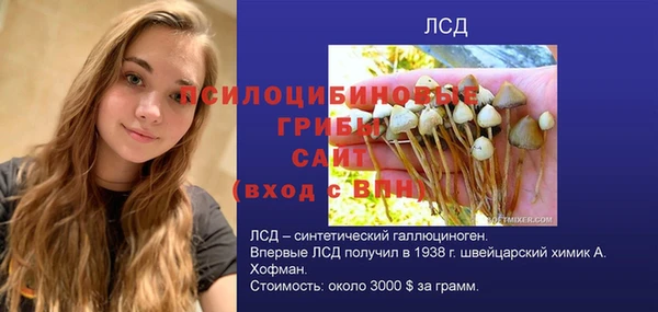 соль ск Алзамай