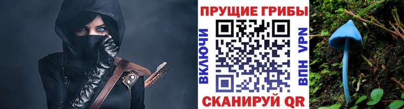 цены   Билибино  Галлюциногенные грибы Magic Shrooms 