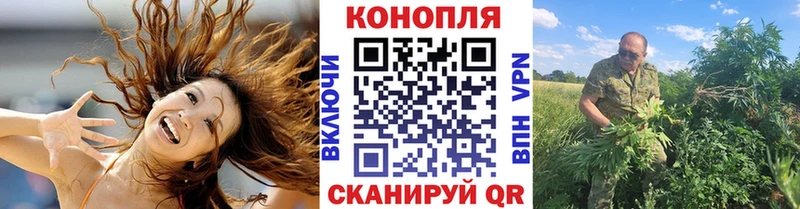 Бошки Шишки индика  ссылка на мегу маркетплейс  Билибино  купить закладку 